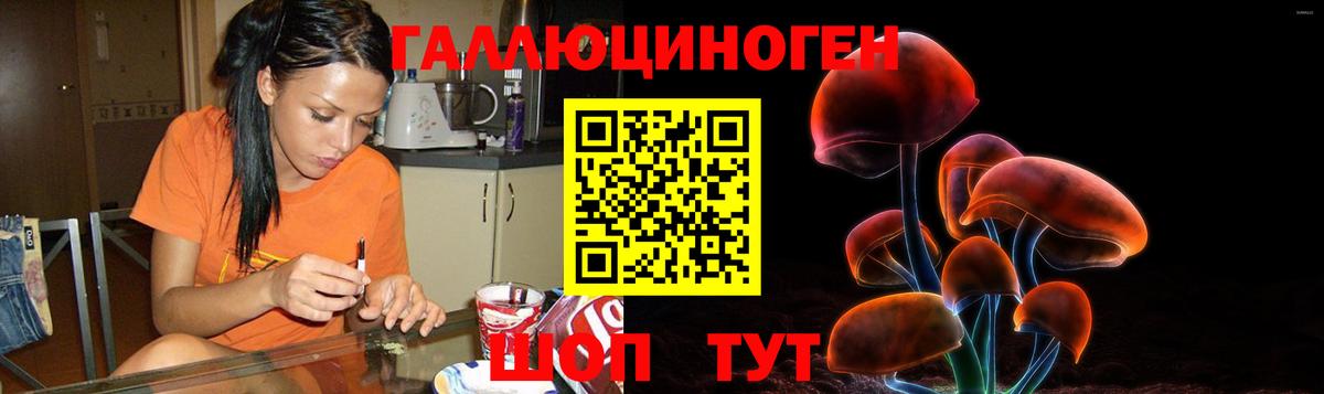 Псилоцибиновые грибы Magic Shrooms Чехов