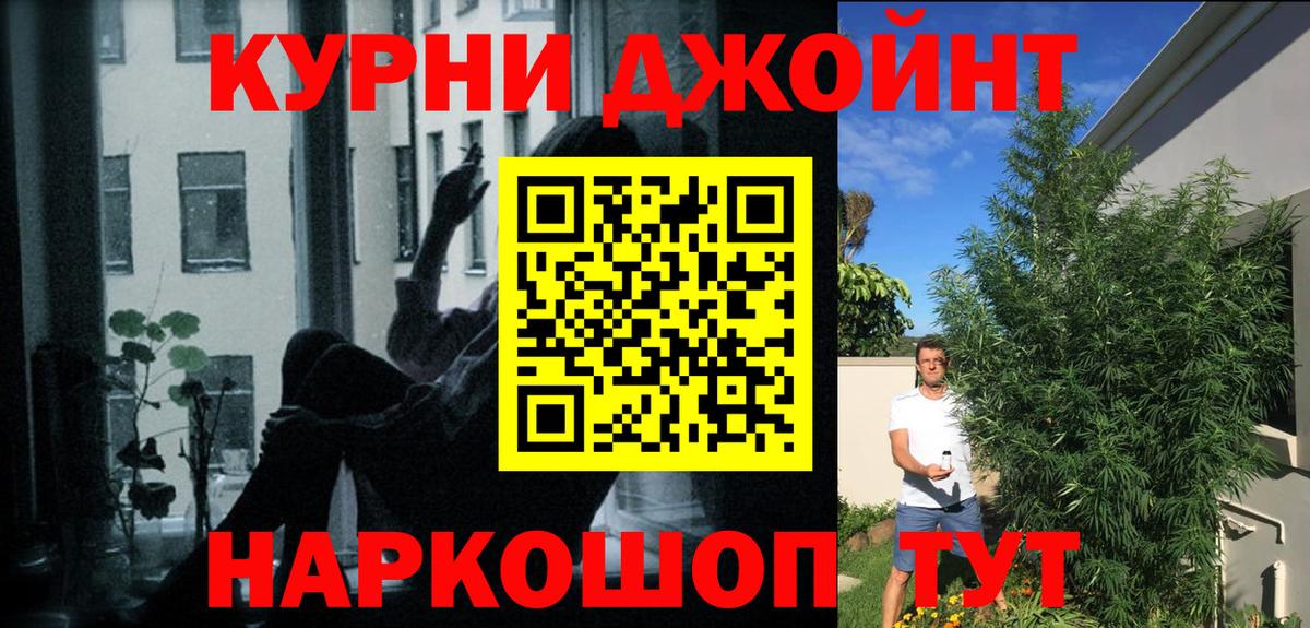 Каннабис сатива Чехов